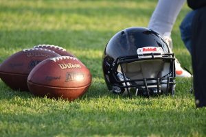 Bulldogs im Stadion
