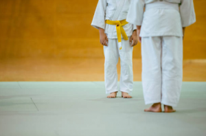 Ju-Jutsu: Erfolgreicher Kinder- und Jugendlehrgang beim DTB