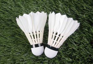 Lust auf Badminton?